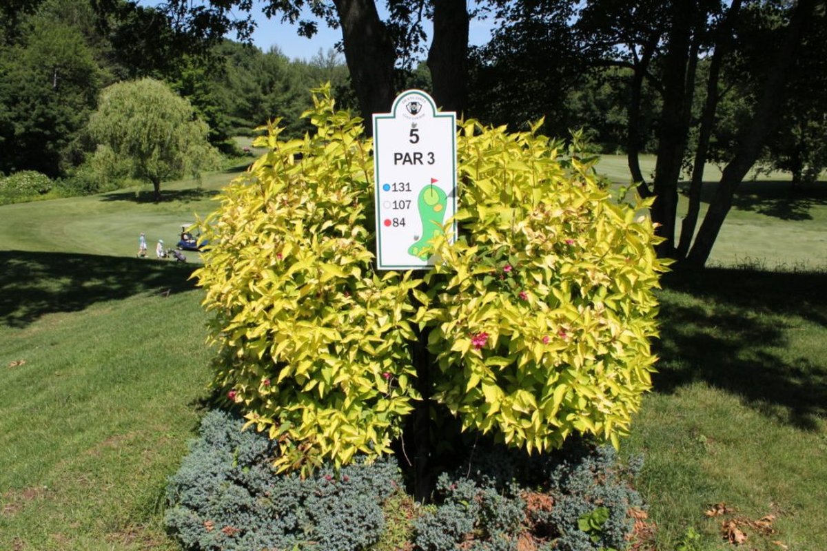 Franconia Golf Course hole 5 par 3 sign among green shrubs with fairway and golfers visible in the background under blue sky
