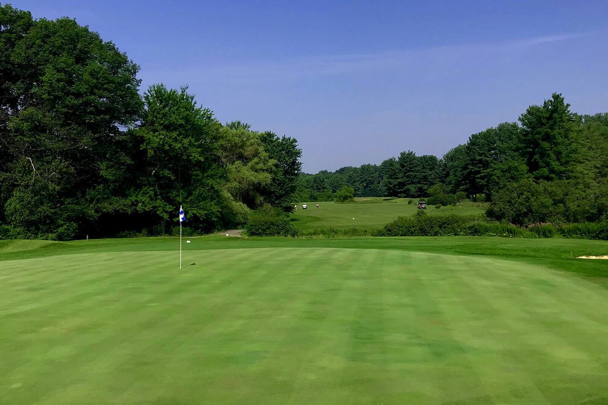 Lush green putting green at Indian Meadows Golf Club with a checkered flag, surrounded by trees under a clear blue sky