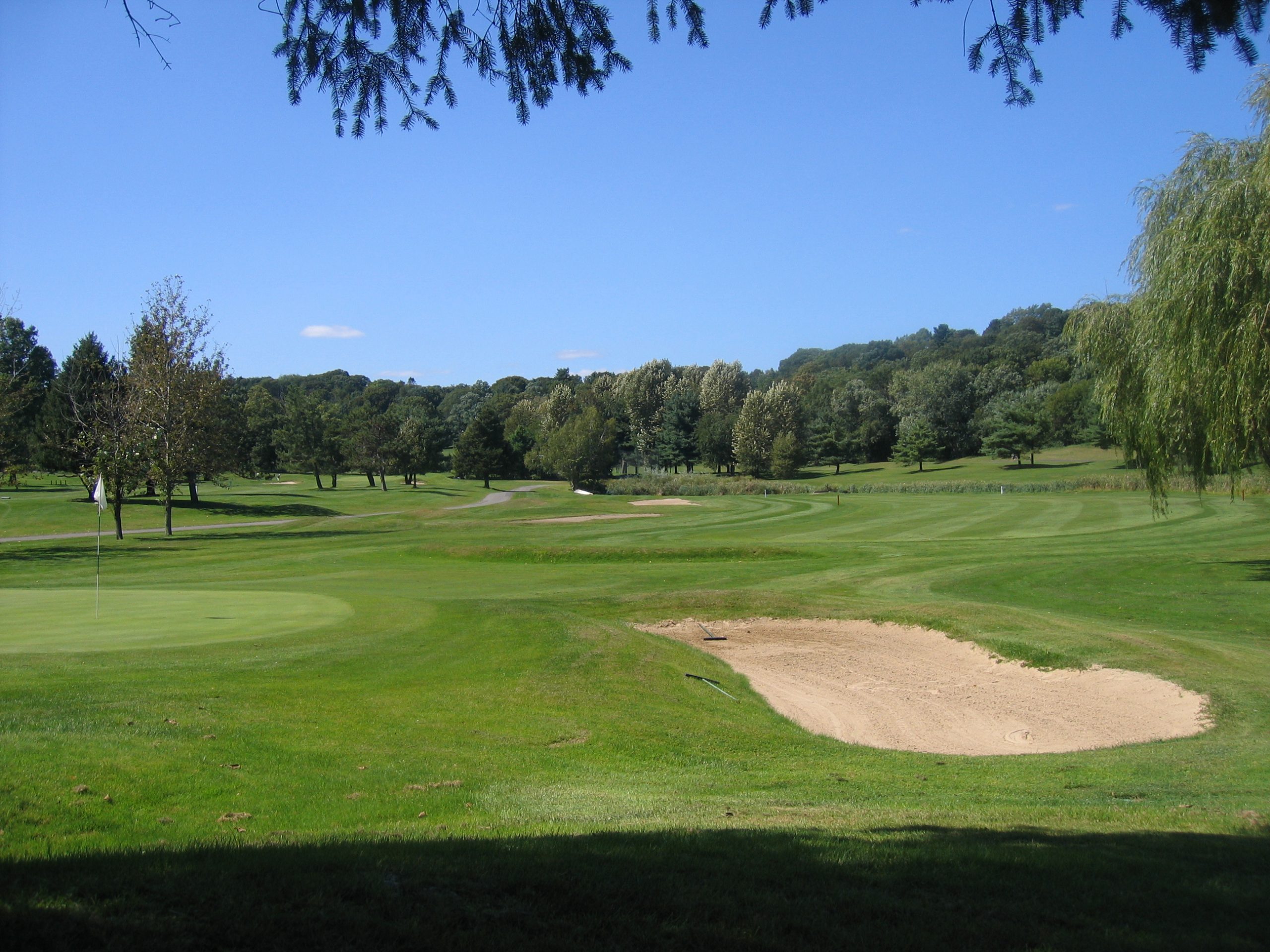 Newton Commonwealth GC green with nearby sand bunker, rolling fairways, scattered trees, and clear blue sky in Newton, MA