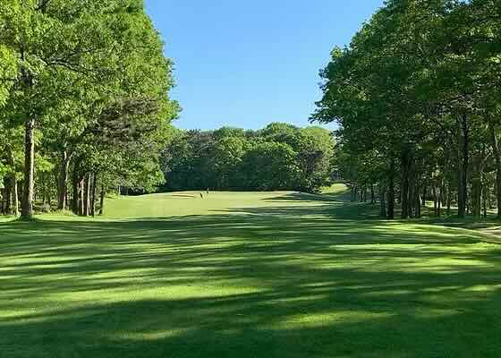 Sunny fairway at Paul Harney Golf Club in Falmouth, MA lined with tall green trees, lush grass, and blue sky above