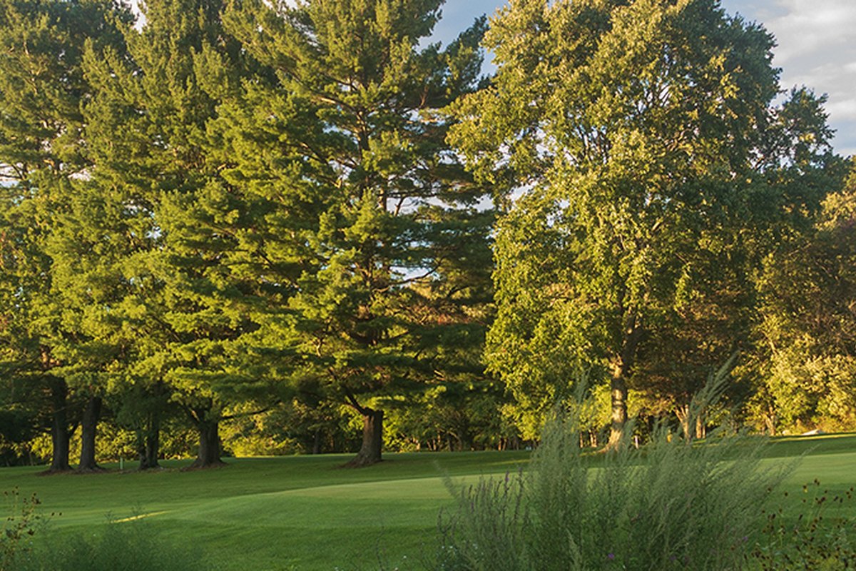 Lush green fairway at Pine Meadows Golf Course in Lexington, MA bordered by tall trees and dense foliage under a partly sunny sky