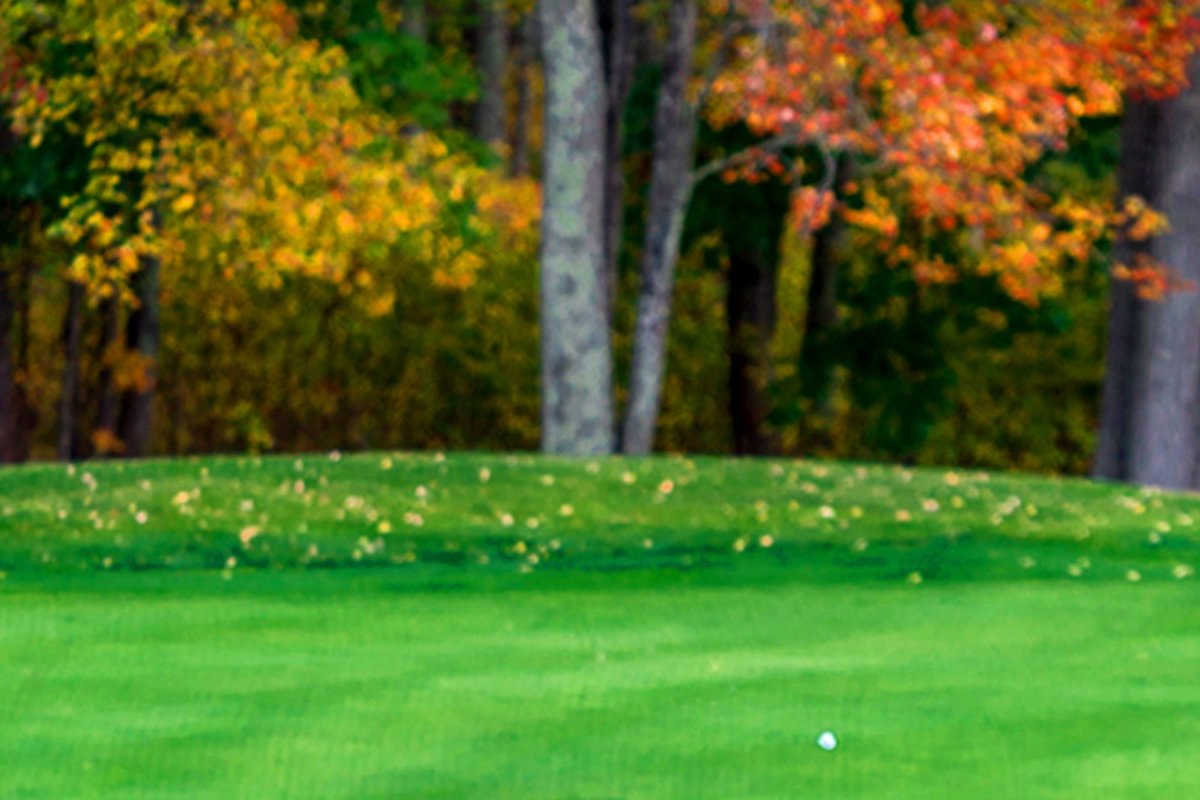 Lush green putting green at Pine Oaks Golf Club in Easton, MA with autumn trees and colorful fall foliage in the background