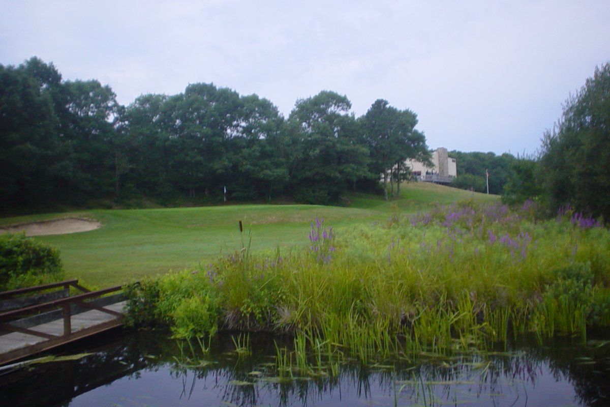 Wooden bridge over a pond with tall grass and purple flowers, fairway, bunker, and trees at Quashnet Valley Country Club