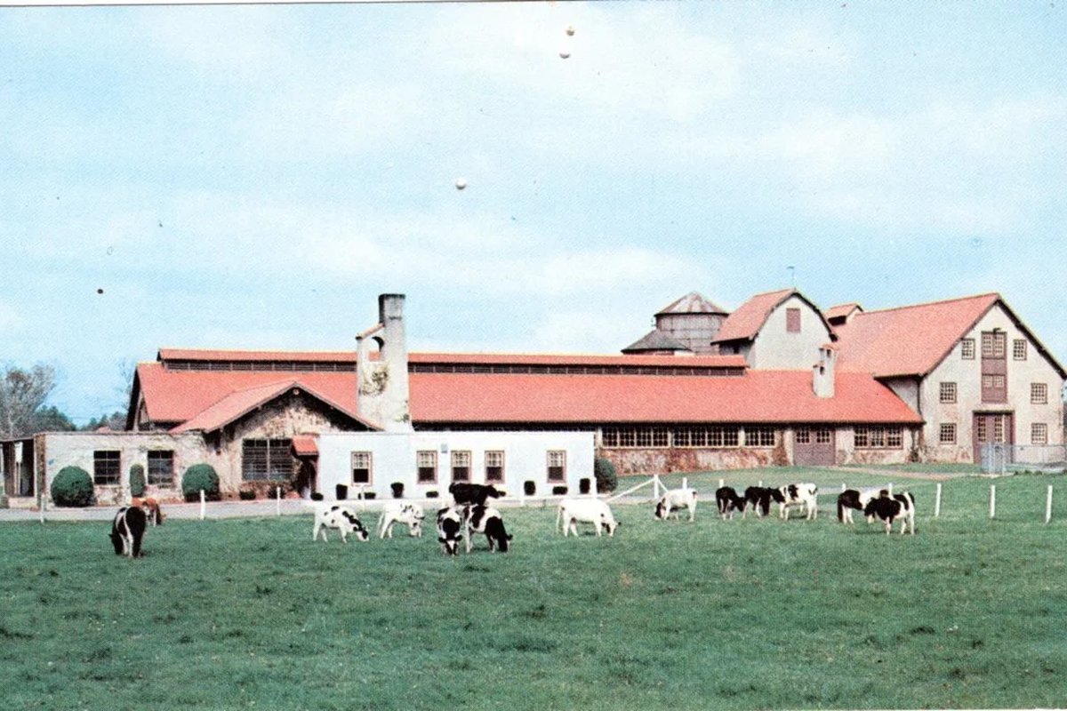 Historic barn buildings with red roofs at Ridder Farm Golf & Country Club, cows grazing on green grass in foreground, partly cloudy sky