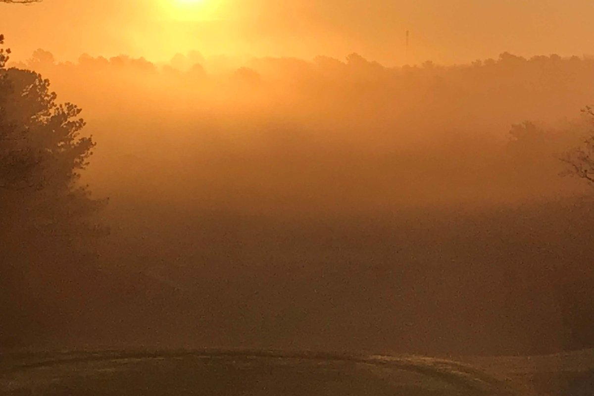 Golden sunrise over Sandwich Hollows Golf Club with misty fairways, silhouetted trees, and soft light above the horizon.