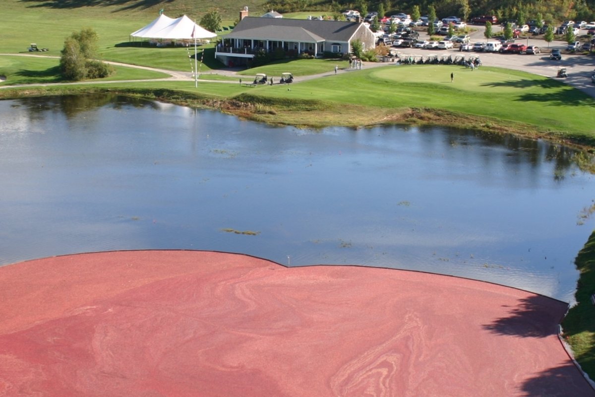 Host course: Southers Marsh Golf Club