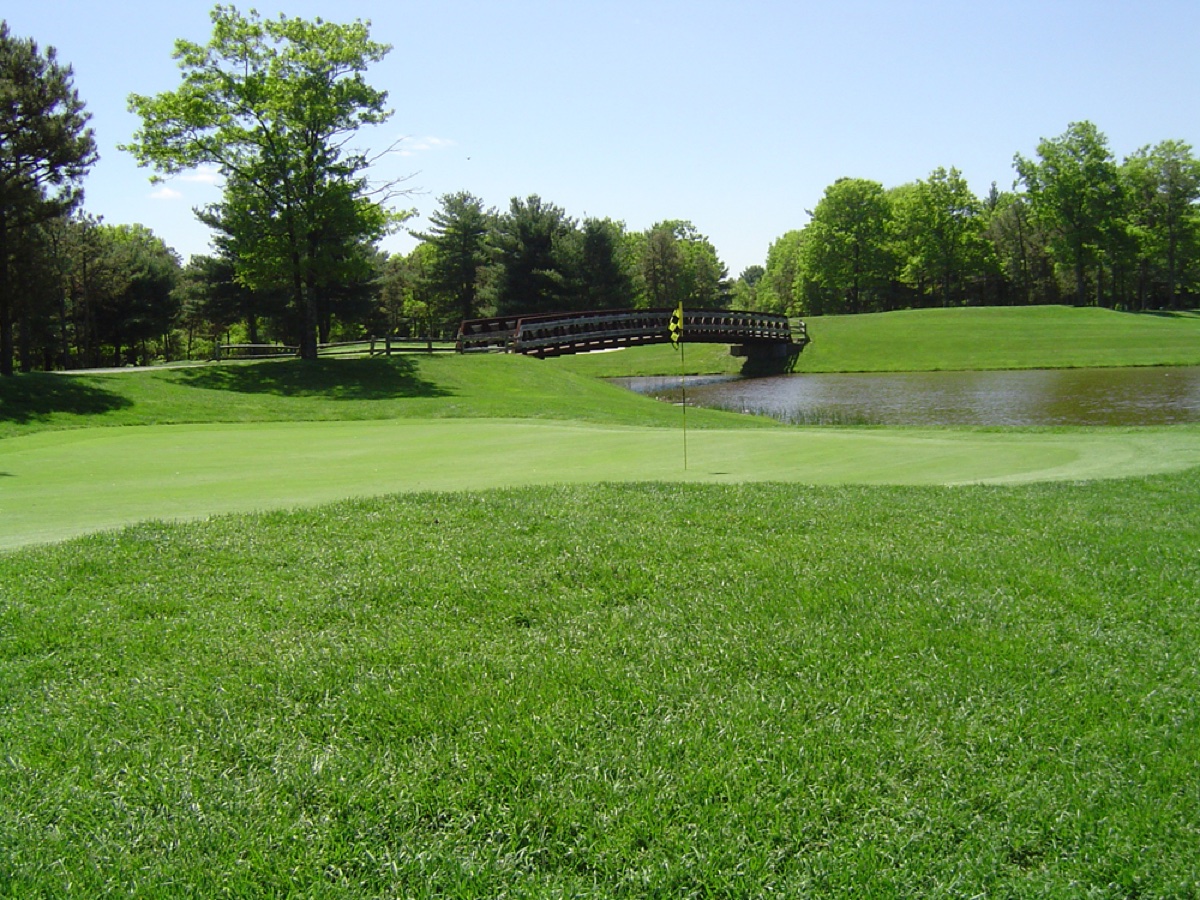 Bright green putting green at Squirrel Run Country Club with pond, wooden bridge, and lush trees under clear sky