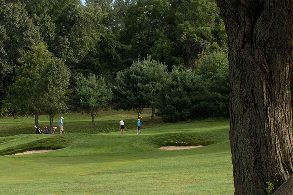 Golfers on a green surrounded by lush trees and bunkers at St Marks Golf Club in Southborough, MA, large tree trunk foreground