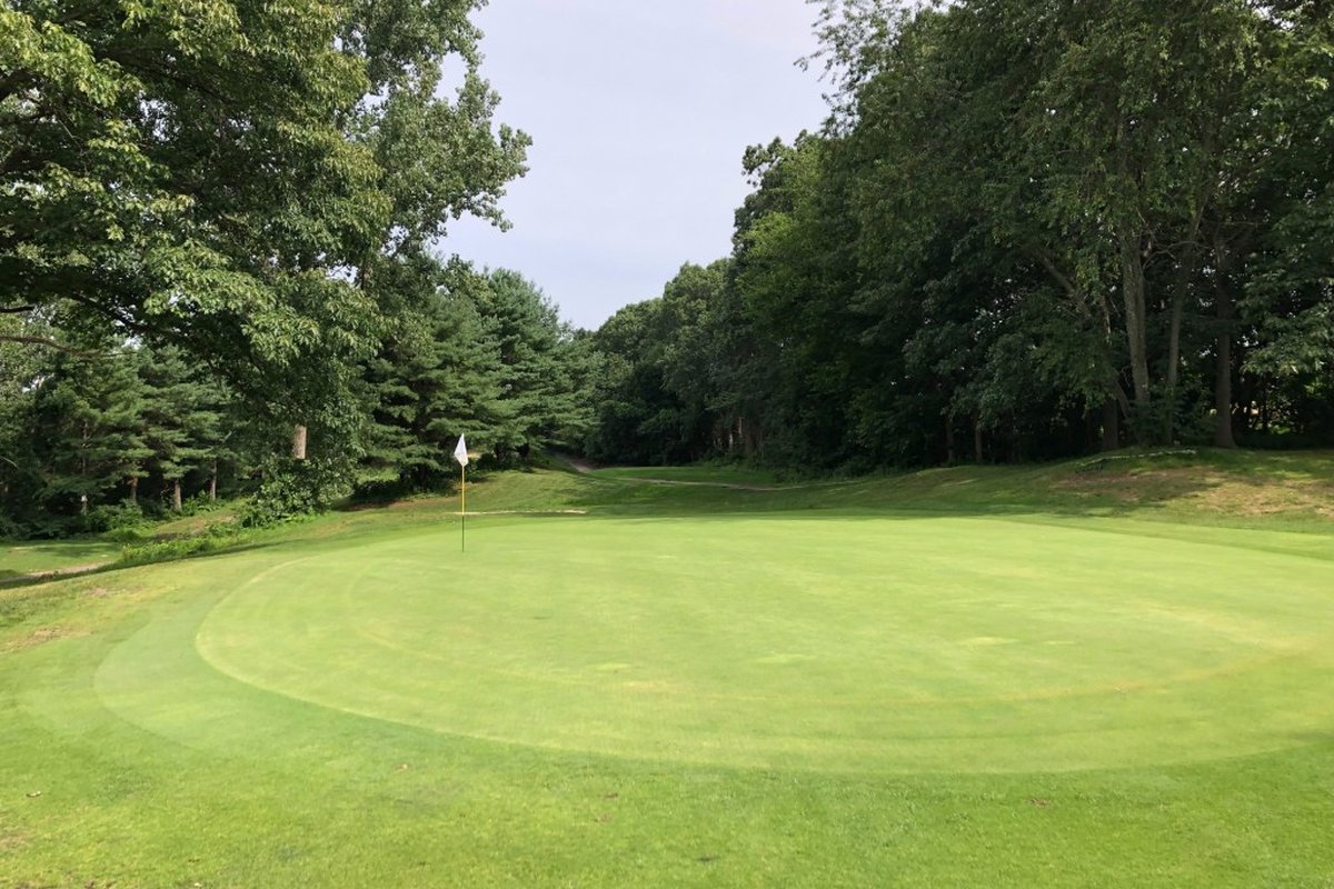 Lush green putting green at Stoneham Oaks Golf Course bordered by tall trees under a partly cloudy sky