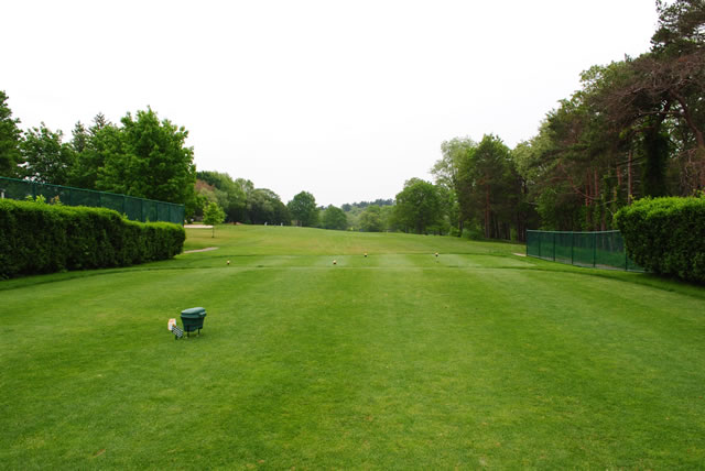 Lush green tee box at Braintree Municipal GC lined with tall trees and hedges under an overcast sky