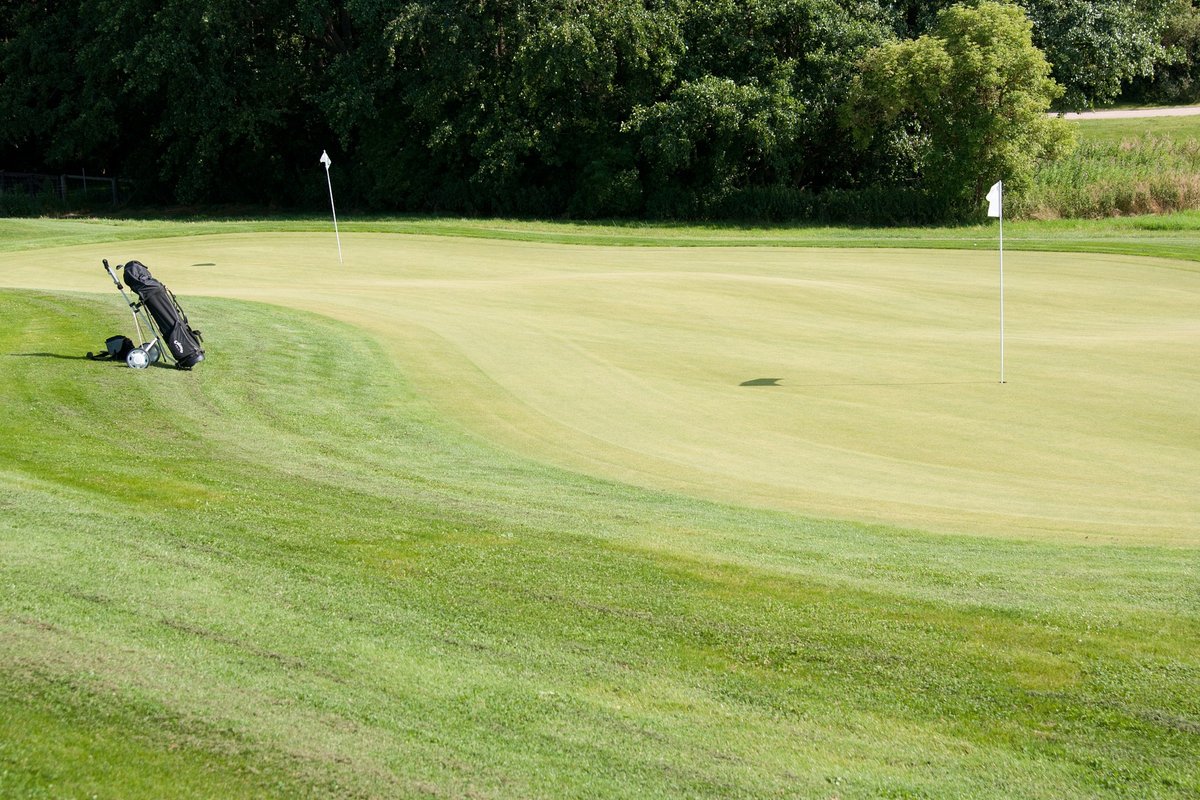Putting green at Trull Brook Golf Course in Tewksbury, MA with golf bag on fringe, three flags, lush trees in background