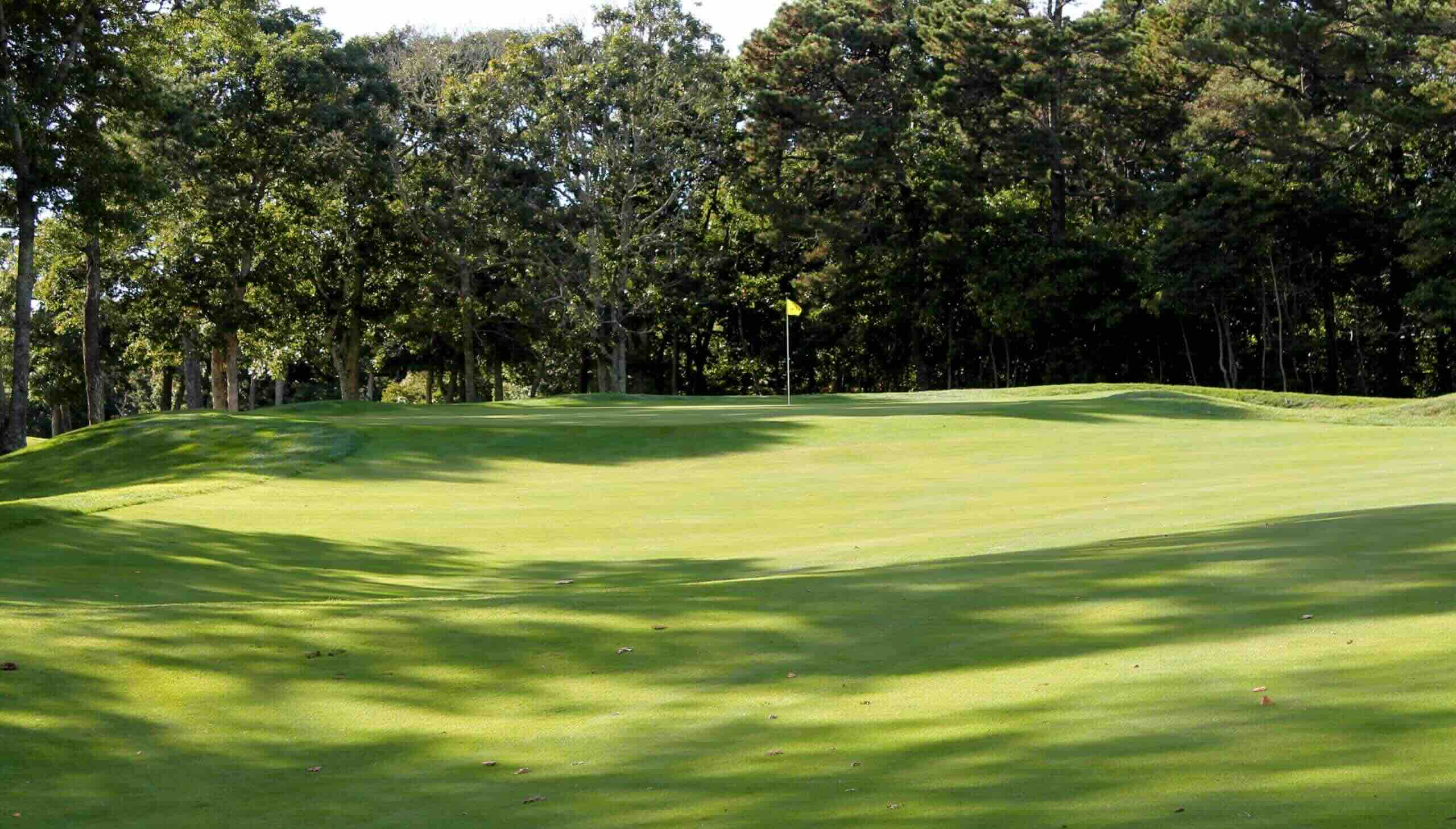 Well-manicured green with surrounding trees and gentle slopes at Captains Golf Course Port course in Brewster, MA