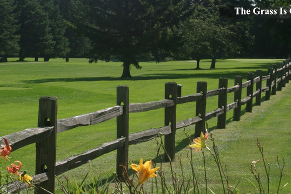 Williston Golf Club