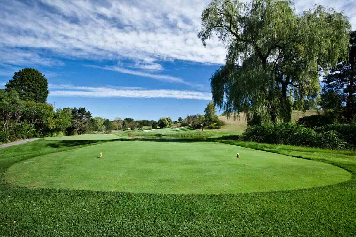 View of the fairway from the tee box